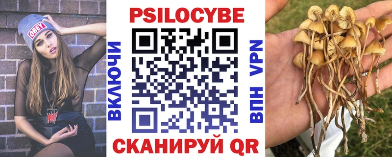 Псилоцибиновые грибы мухоморы Кашин